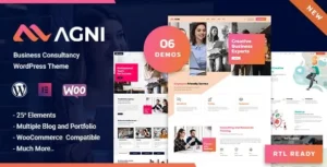 Agni  – Consulting Business