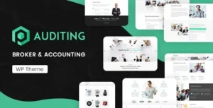 Auditing  – Accounting Consultant, Finance WordPress Theme