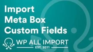 WP All Import Metabox Add-on
