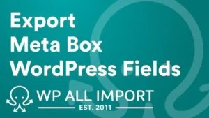 WP All Export Meta box Add-on
