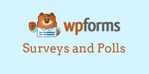 WPForms – Surveys and Polls