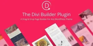 Divi Builder